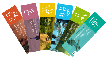 newsletters